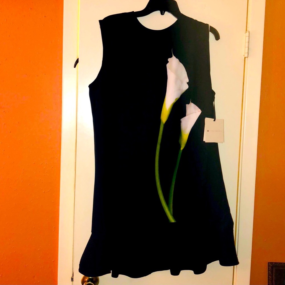 Victoria Beckham Dress